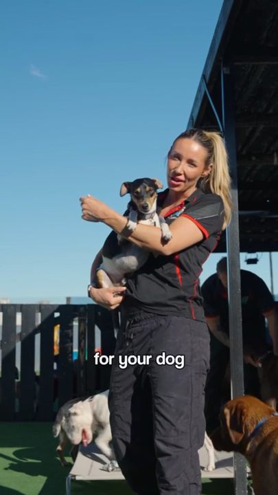 Ooohh Yeah Dog Care — Meta Ad