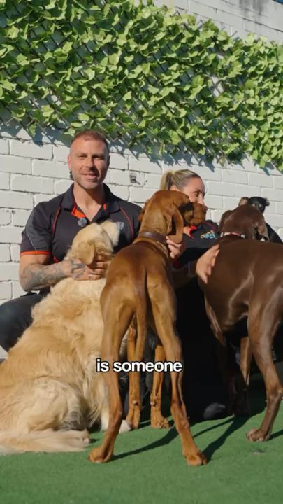 Ooohh Yeah Dog Care — Team Introduction