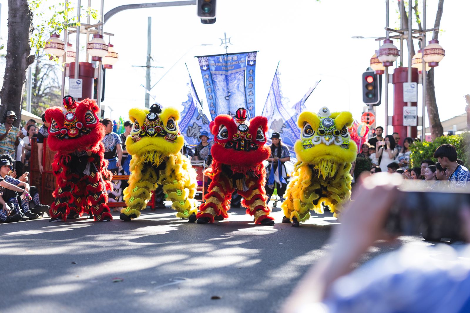 Row of lion dancers in a street parade